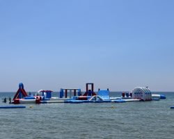 IMG_6184