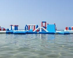 IMG_6246