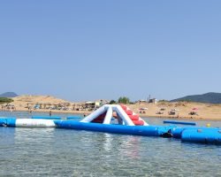 IMG_6248 (1)